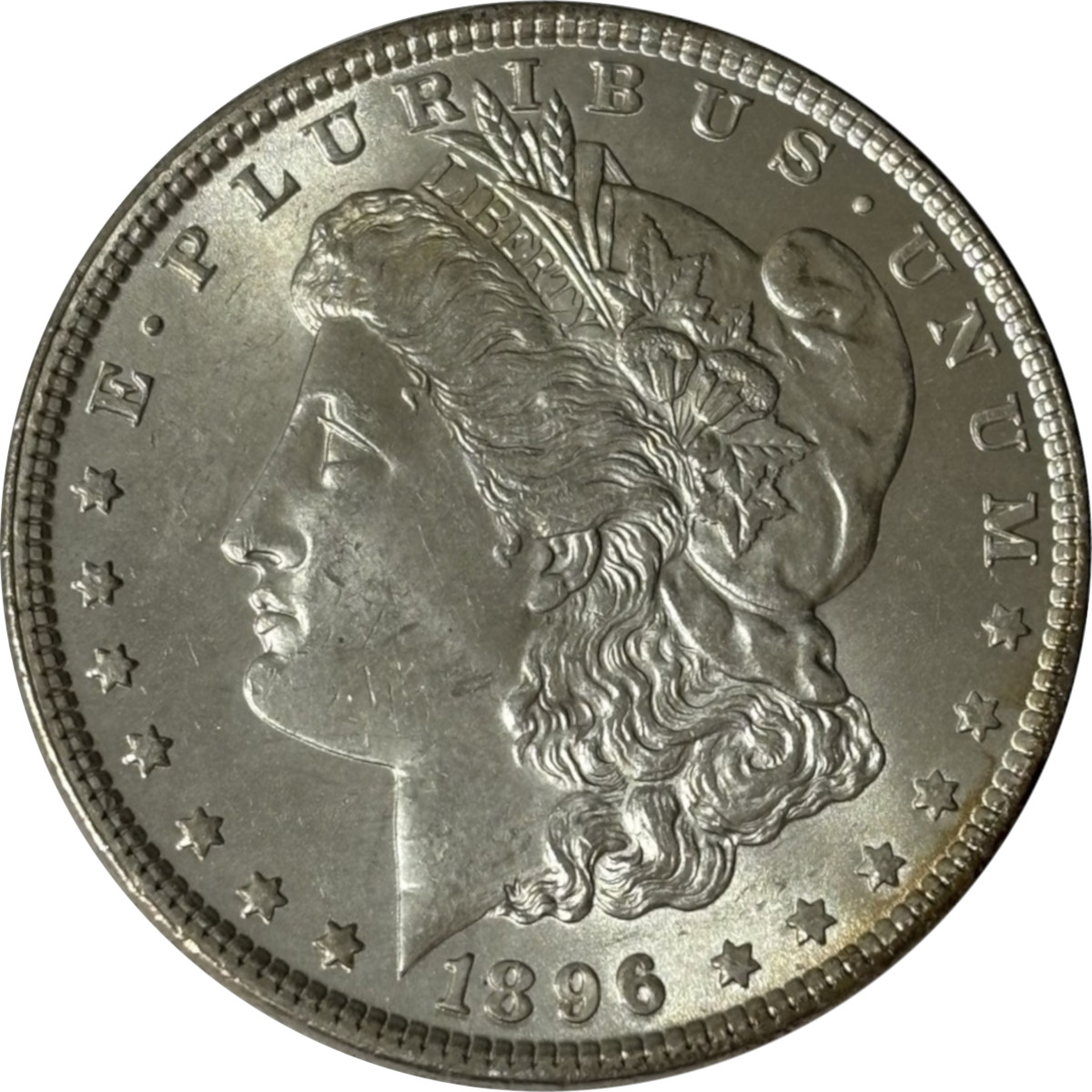 1896-$1-Morgan-Dollar-#14